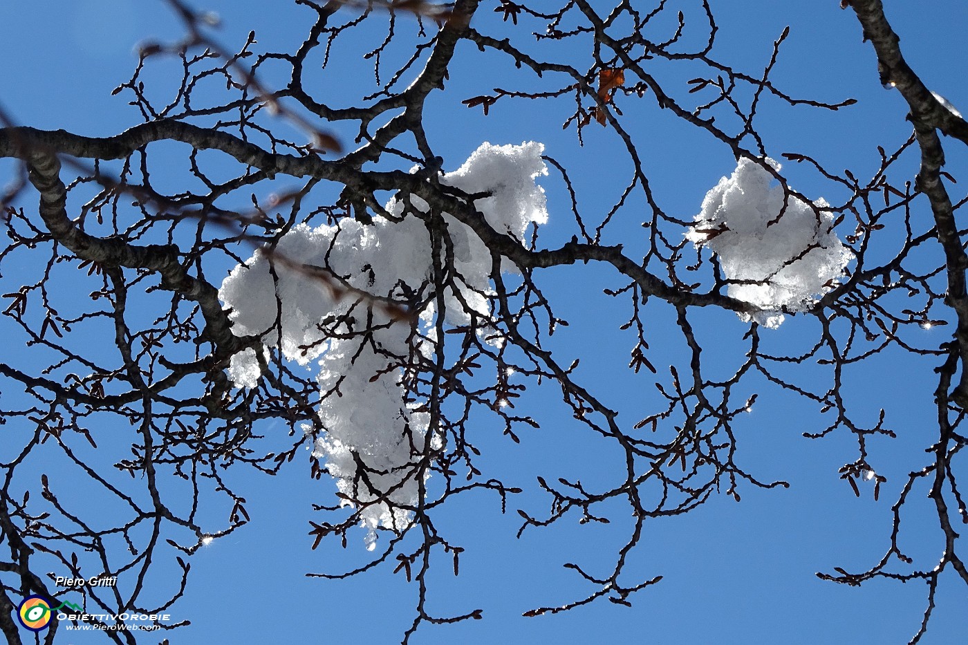 24 Sole e neve sulla testa.JPG